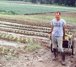 Market Gardening Image